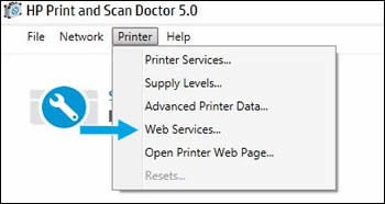 Click Web Services in the drop-down menu